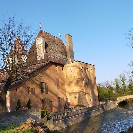 Chateau De La Venerie Denicé Kültér fotó