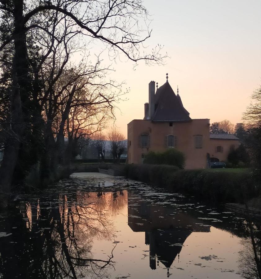 Chateau De La Venerie Denicé Kültér fotó