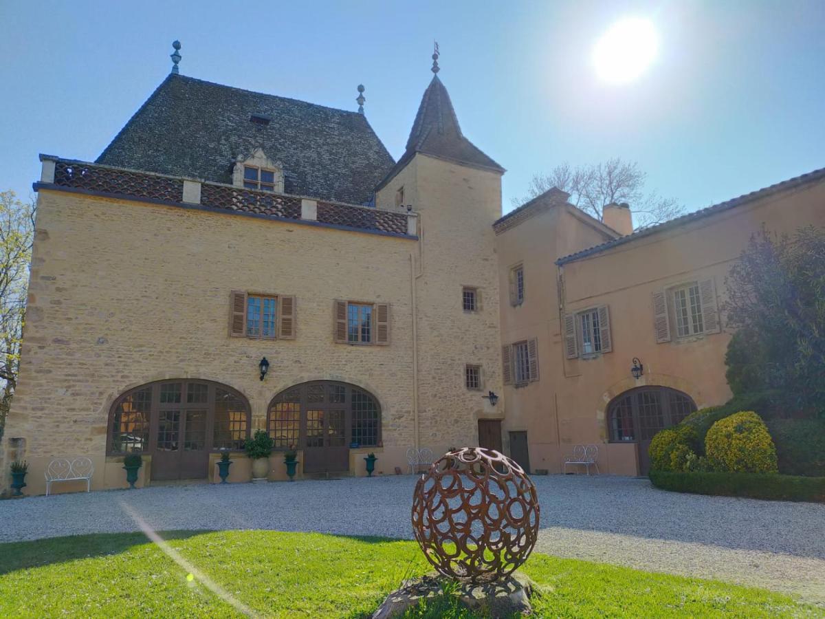Chateau De La Venerie Denicé Kültér fotó