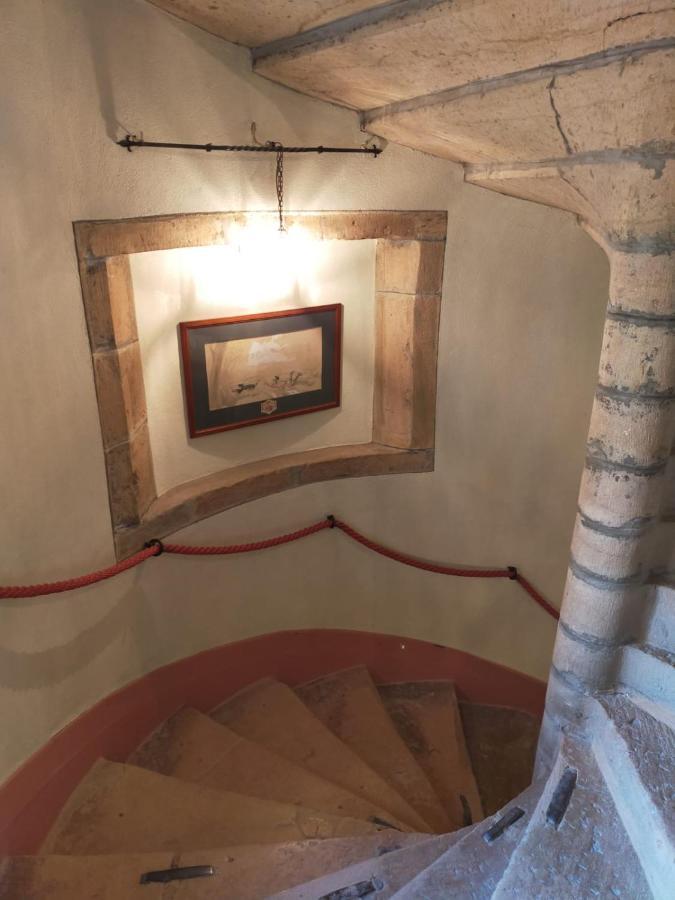 Chateau De La Venerie Denicé Kültér fotó