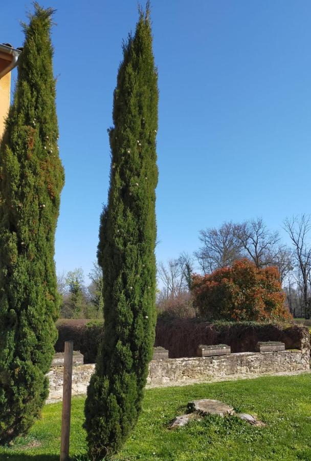 Chateau De La Venerie Denicé Kültér fotó