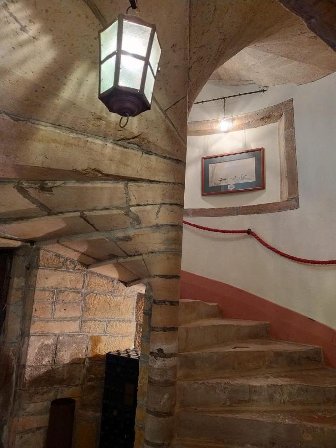 Chateau De La Venerie Denicé Kültér fotó
