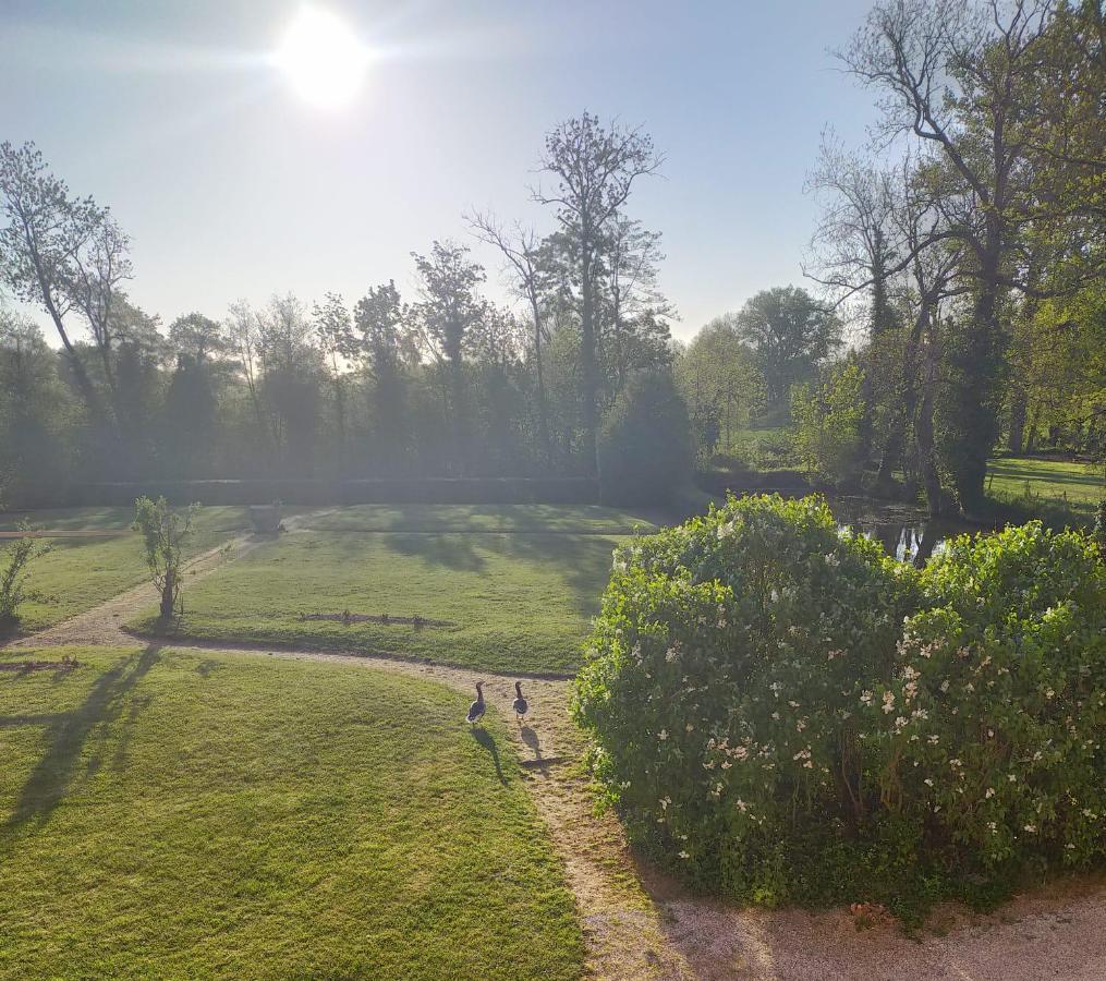 Chateau De La Venerie Denicé Kültér fotó