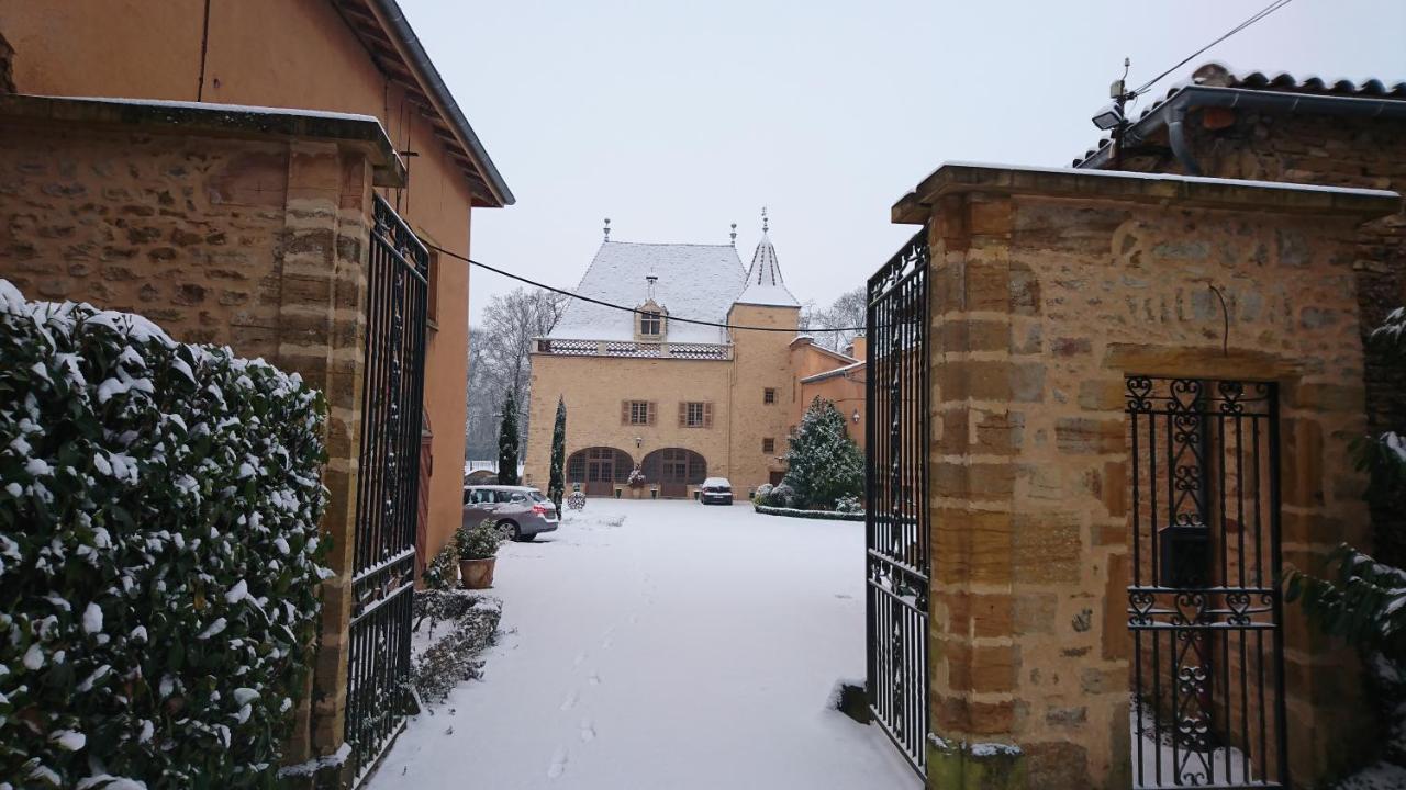 Chateau De La Venerie Denicé Kültér fotó