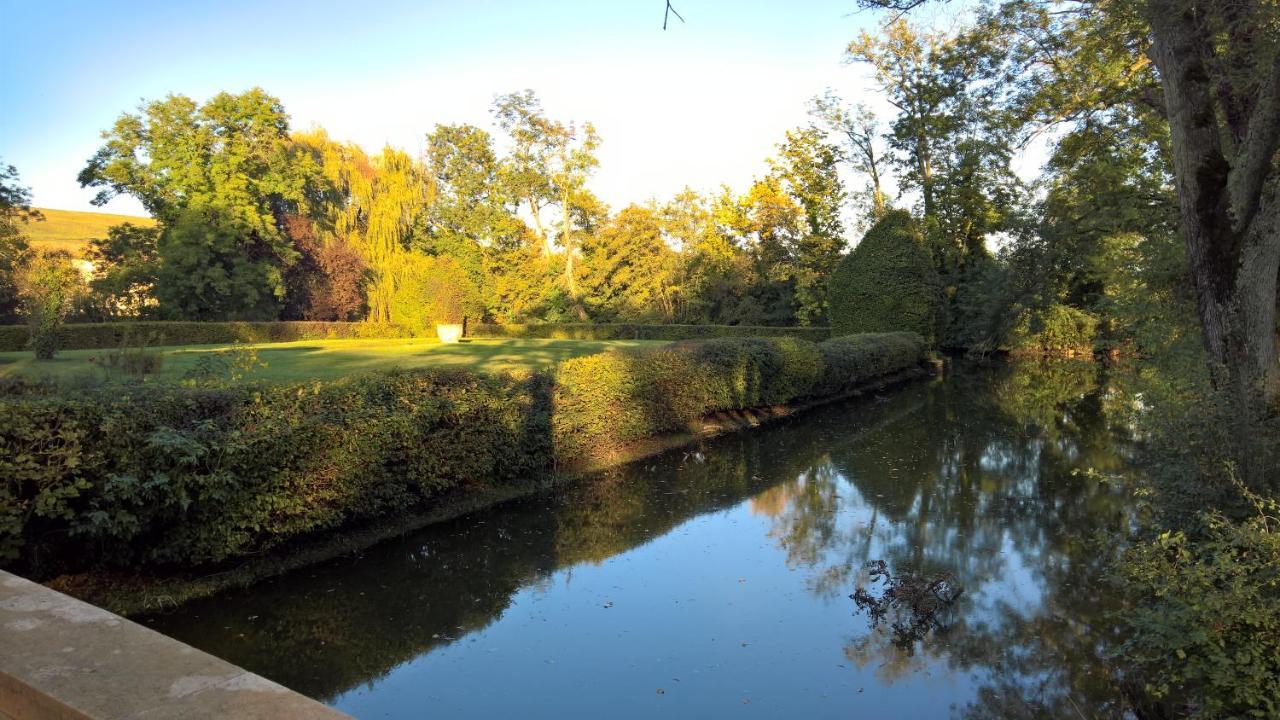Chateau De La Venerie Denicé Kültér fotó