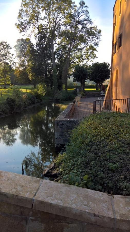 Chateau De La Venerie Denicé Kültér fotó