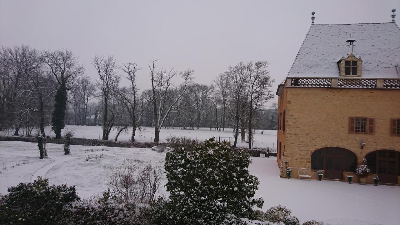 Chateau De La Venerie Denicé Kültér fotó